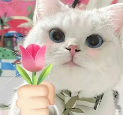 2024127144822973 9888À˹ά¼Ó˹(ÖйúÓÎ)¹Ù·½ÍøÕ¾